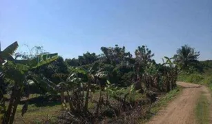 N/A Land for sale in Ban Klang, Chiang Mai 