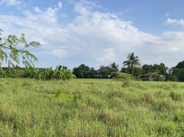  Land for sale in Phetchabun, Sadiang, Mueang Phetchabun, Phetchabun