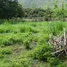 ขายที่ดิน ใน ออนใต้, เชียงใหม่, ออนใต้, สันกำแพง