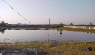 N/A Grundstück zu verkaufen in Khlong Maphlap, Sukhothai 