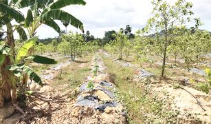 N/A Land for sale in Si Sunthon, Phuket 