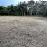  Land for sale at Yamu Hills, Pa Khlok, Thalang