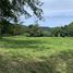  Land for sale in Thep Krasattri, Phuket, Thep Krasattri, Thalang