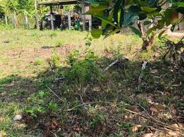  Land for sale in Nakhon Phanom, Ban Kho, Phon Sawan, Nakhon Phanom