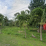  Grundstück zu verkaufen in Othon P Blanco, Quintana Roo, Othon P Blanco