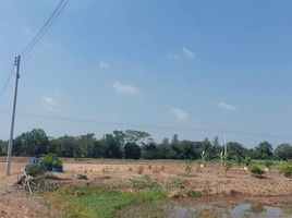  Land for sale in Bueng Ba, Nong Suea, Bueng Ba