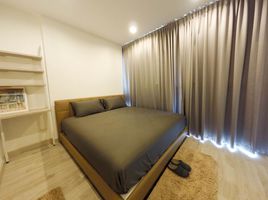 1 Bedroom Condo for rent at Ideo Mobi Sukhumvit 81, Bang Chak