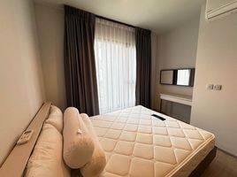 1 Schlafzimmer Appartement zu vermieten im Life Asoke Rama 9, Makkasan