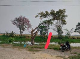  Land for sale in Chachoengsao, Bang Toei, Mueang Chachoengsao, Chachoengsao