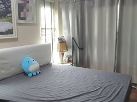 3 Schlafzimmer Haus zu verkaufen im Perfect Place Sukhumvit 77 - Suvarnabhumi, Lat Krabang