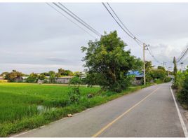在Mueang Chiang Rai, 清莱出售的 土地, Ban Du, Mueang Chiang Rai