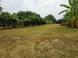  Grundstück zu verkaufen in Mueang Chiang Rai, Chiang Rai, Rop Wiang