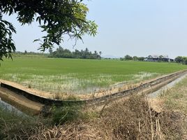  Land for sale in Ban Mai, Tha Muang, Ban Mai