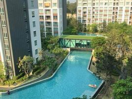 1 Bedroom Condo for rent at D Condo Ping, Fa Ham, Mueang Chiang Mai