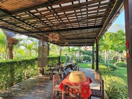 8 Bedroom Villa for sale in Nakhon Ratchasima, Khanong Phra, Pak Chong, Nakhon Ratchasima
