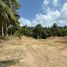  Land for sale in Ko Pha-Ngan, Surat Thani, Ban Tai, Ko Pha-Ngan