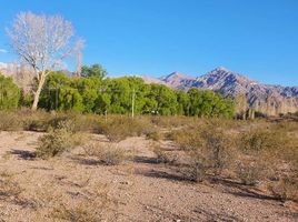  Grundstück zu verkaufen in Las Heras, Mendoza, Las Heras