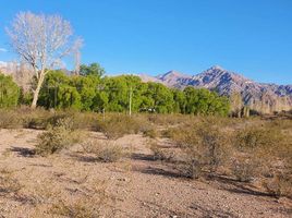  Land for sale in Argentina, Las Heras, Mendoza, Argentina