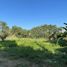  Land for sale in Kad Ma Praw Coconut Plantation Market, Fa Ham, Fa Ham