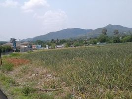  Grundstück zu verkaufen in Sattahip, Chon Buri, Bang Sare, Sattahip