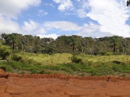  Land for sale in Amazonas, Silves, Amazonas