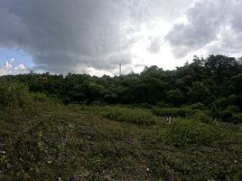  Grundstück zu verkaufen in Badung, Bali, Kuta, Badung, Bali