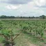  Land for sale in Lat Takhian, Prachin Buri, Lat Takhian