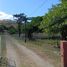  Land for sale in Nicoya, Guanacaste, Nicoya