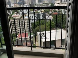 1 Schlafzimmer Appartement zu verkaufen im The Crest Sukhumvit 34, Khlong Tan