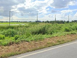  Land for sale in Namtan, In Buri, Namtan