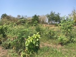  Land for sale in Phetchabun, Phu Toei, Wichian Buri, Phetchabun