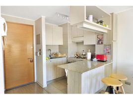 1 Bedroom Apartment for rent at Nunoa, San Jode De Maipo