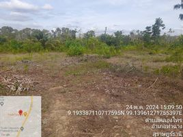  Land for sale in Tha Chang, Surat Thani, Khlong Sai, Tha Chang