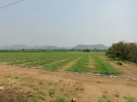  Land for sale in Kanchanaburi, Wang Dong, Mueang Kanchanaburi, Kanchanaburi
