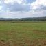  Land for sale in Pak Chong Nakhon Ratchasima, Pak Chong, Pak Chong, Nakhon Ratchasima