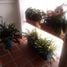 3 Bedroom Apartment for sale at STREET 24 # 17-13, Medellin