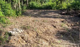 N/A Grundstück zu verkaufen in Ko Phayam, Ranong 