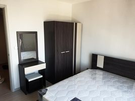 1 Bedroom Condo for rent at Life Sukhumvit 62, Bang Chak, Phra Khanong