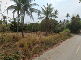  Grundstück zu verkaufen in Mueang Chon Buri, Chon Buri, Nong Ri