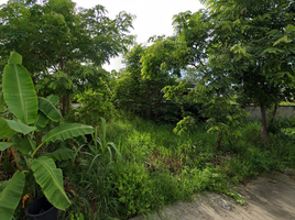  Land for sale at Baan Vipanee View, Ban Waen