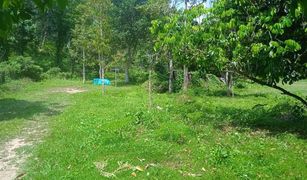 N/A Land for sale in Si Sunthon, Phuket 