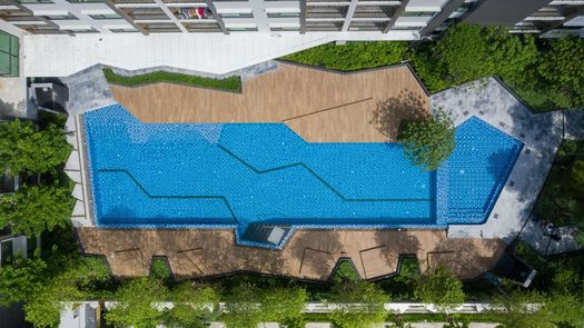 写真 1 of the Communal Pool at Kensington Sukhumvit – Thepharak