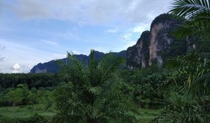 N/A Land for sale in Khao Thong, Krabi 