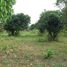  Land for sale in Saraburi, Tha Khlo, Kaeng Khoi, Saraburi