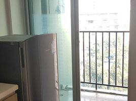 1 Bedroom Apartment for rent at D Condo Rattanathibet, Sai Ma, Mueang Nonthaburi