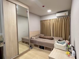 1 Schlafzimmer Appartement zu verkaufen im Plum Condo Rangsit Alive, Khlong Nueng