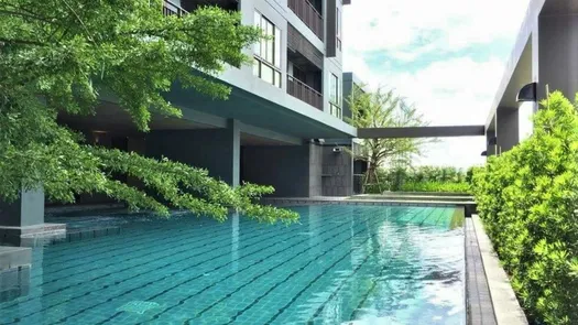 Photo 1 of the Communal Pool at The Signature by URBANO