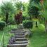 2 Bedroom House for sale at Ojochal, Osa, Puntarenas