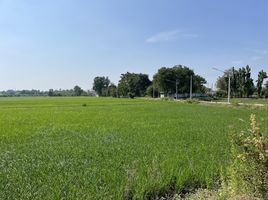  Land for sale in Suphan Buri, Sam Chuk, Sam Chuk, Suphan Buri