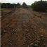  Land for sale in Gujarat, n.a. ( 913), Kachchh, Gujarat